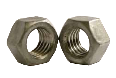 Hex Nuts