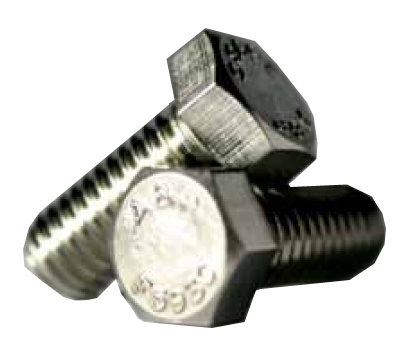 Stainless Hex Cap Screws